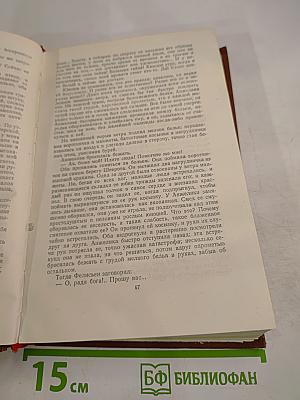 Мечта. Человек-зверь. Том 13