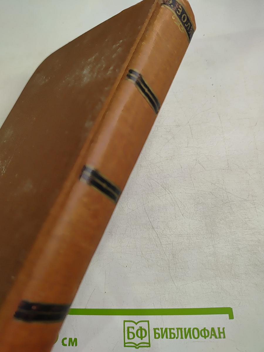 Мечта. Человек-зверь. Том 13