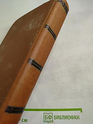 Мечта. Человек-зверь. Том 13