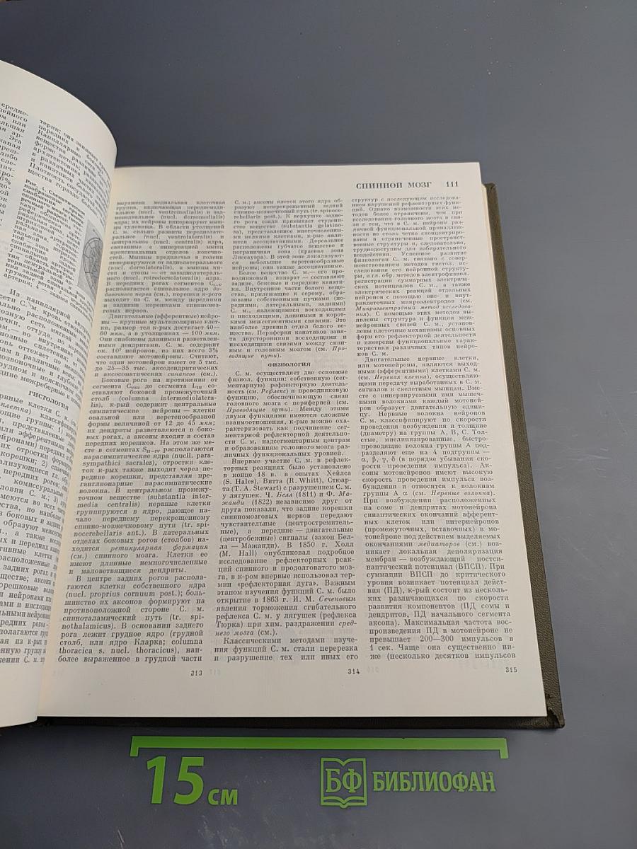Большая медицинская энциклопедия. Том 24: Сосудистый шов – Тениоз