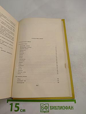 Собрание сочинений. Том восьмой. Стихотворения, сказки, Золотой ключик