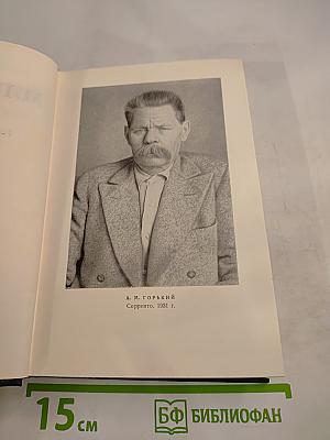 Собрание сочинений. Том 19: Пьесы, сценарии, инсценировки