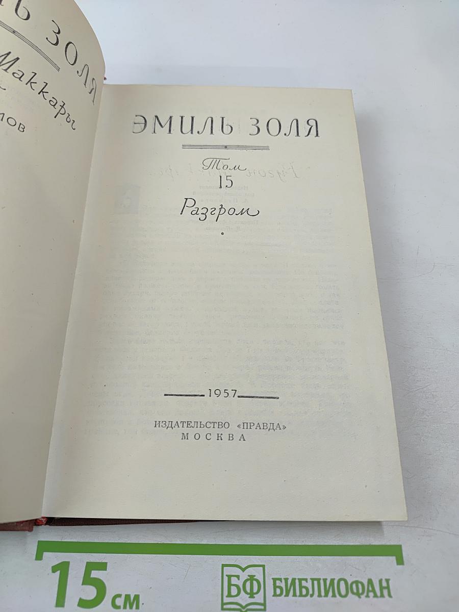 Разгром. Том 15