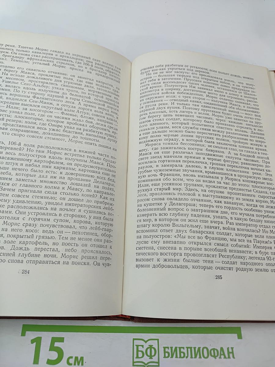 Разгром. Том 15