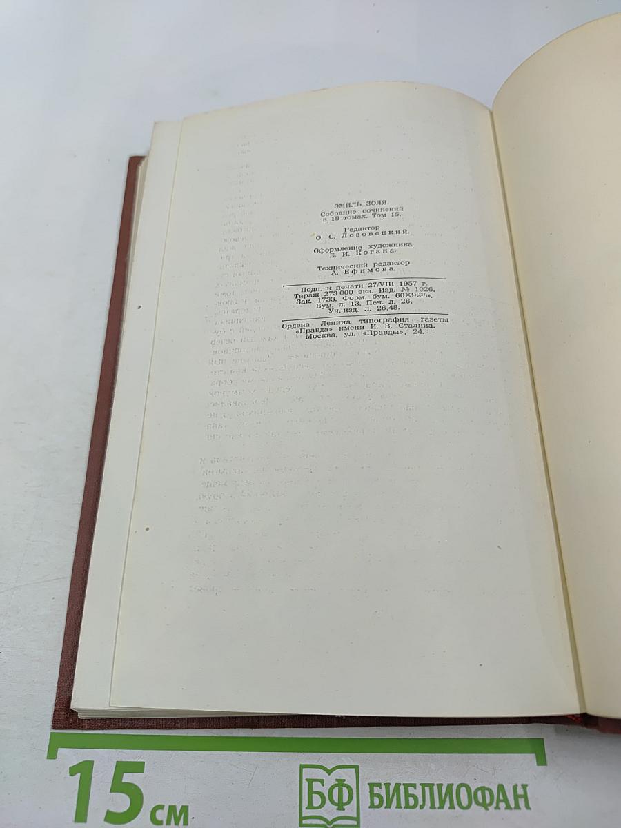 Разгром. Том 15