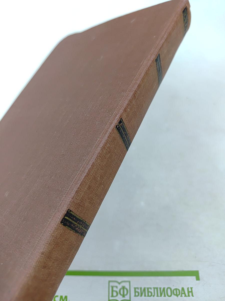 Разгром. Том 15