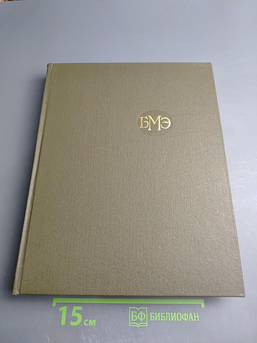 Большая медицинская энциклопедия. Том 29. Дополнительный