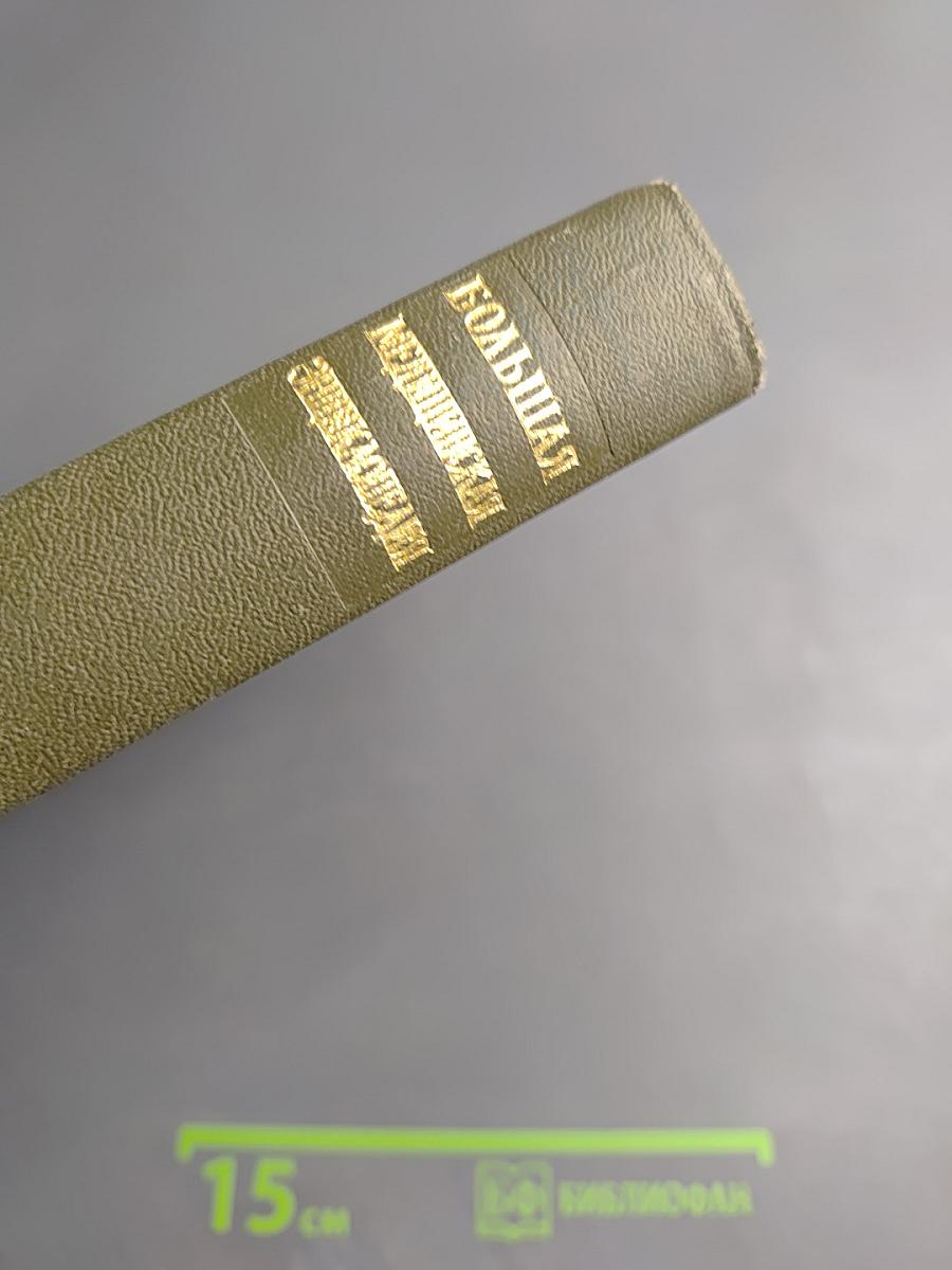 Большая медицинская энциклопедия. Том 29 Дополнительный