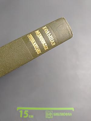 Большая медицинская энциклопедия. Том 29 Дополнительный