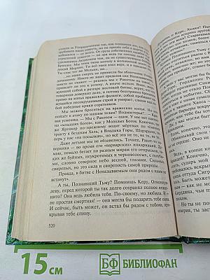 Война Мага. Том Третий. Эндшпиль