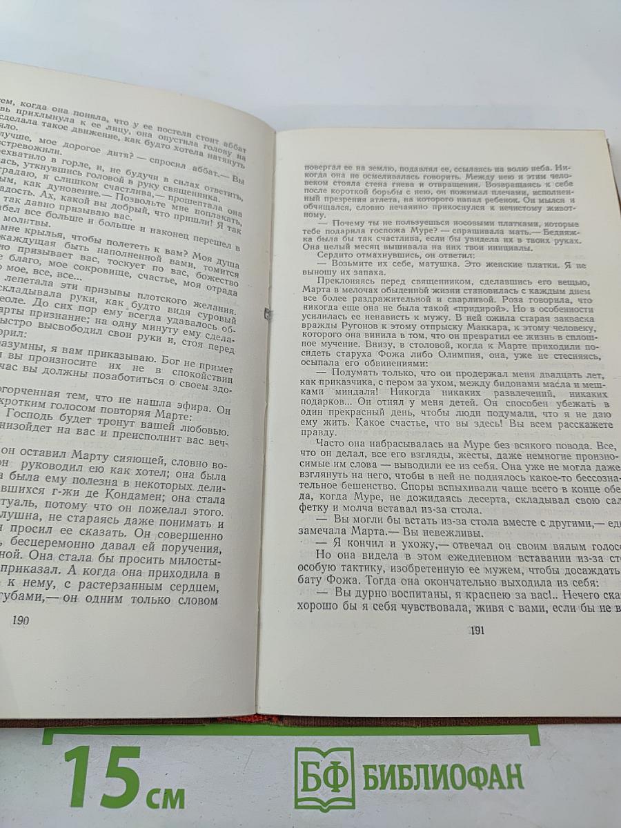 Завоевание Плассана