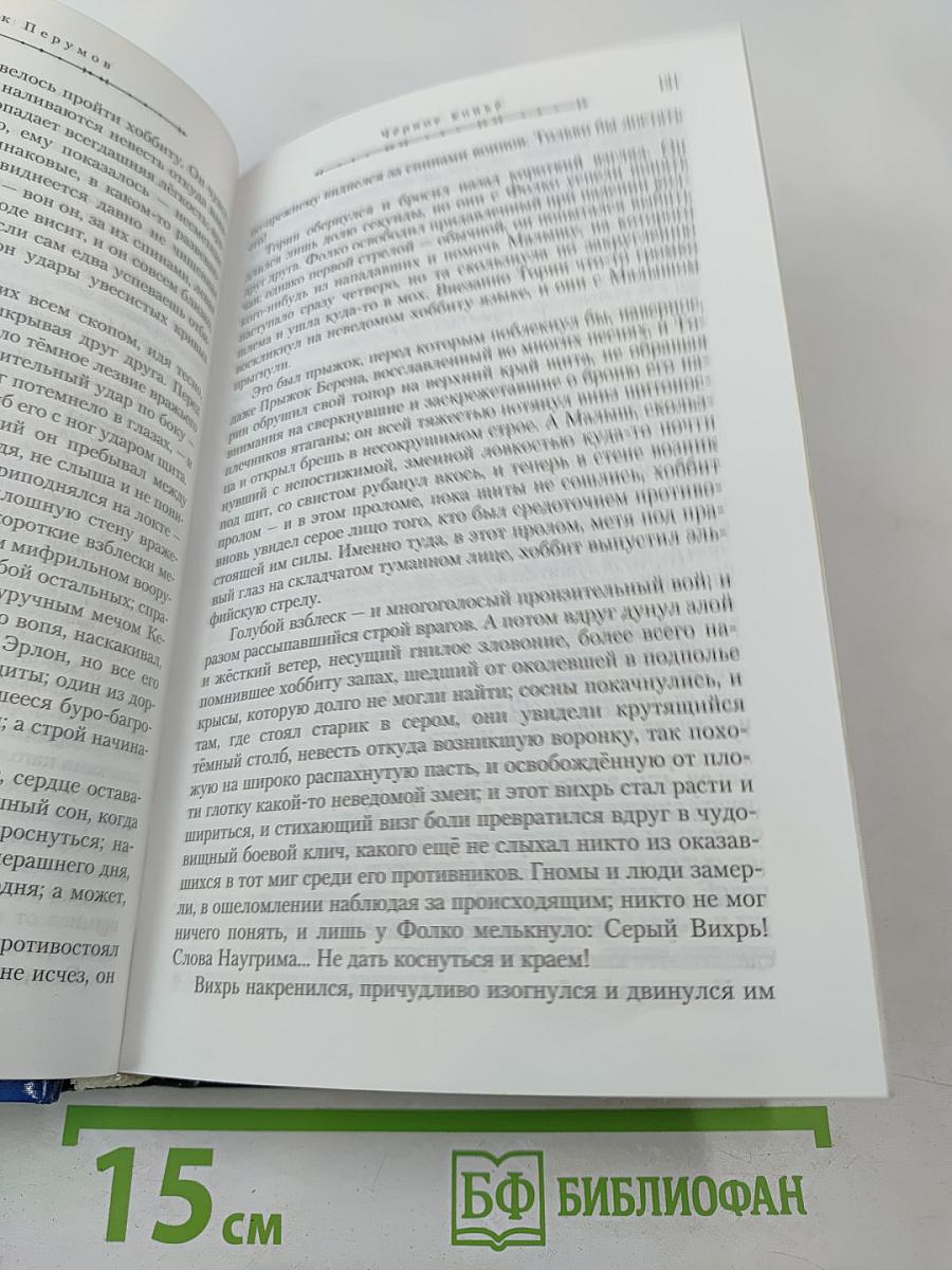 Чёрное копьё. Книга вторая