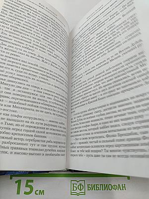 Чёрное копьё. Книга вторая