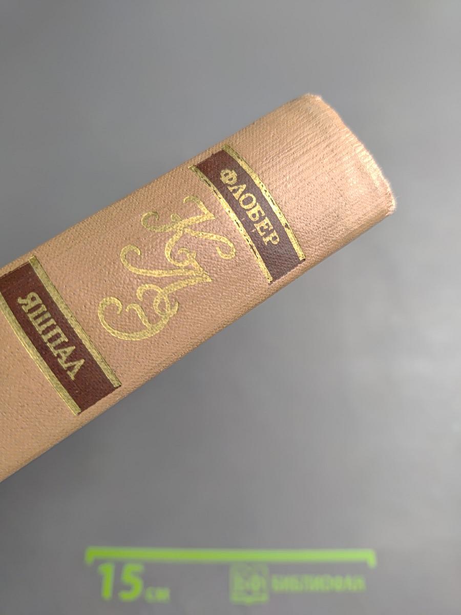 Краткая литературная энциклопедия. Том 8: Флобер-Яшпал