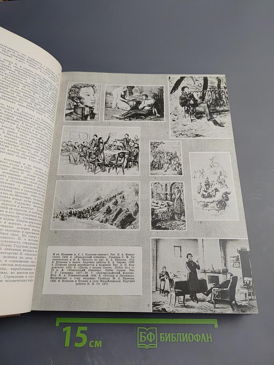 Краткая литературная энциклопедия. Том 6: Присказка - Советская Россия