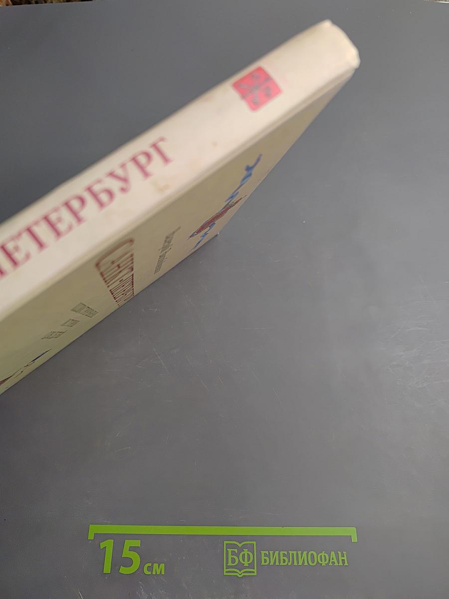 Санкт-Петербург. Иллюстрированная история для детей