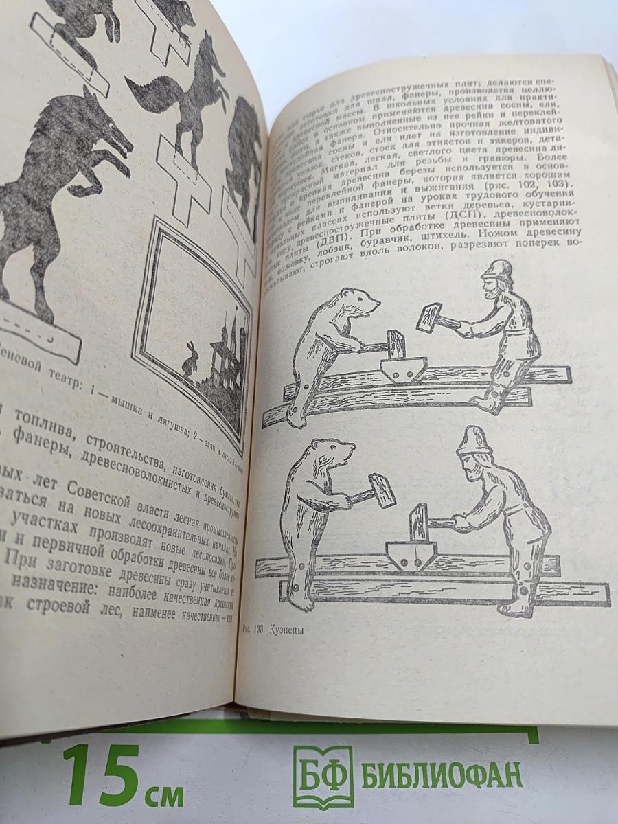 Методика трудового обучения с практикумом в учебных мастерских