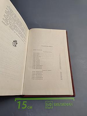 Перед рассветом