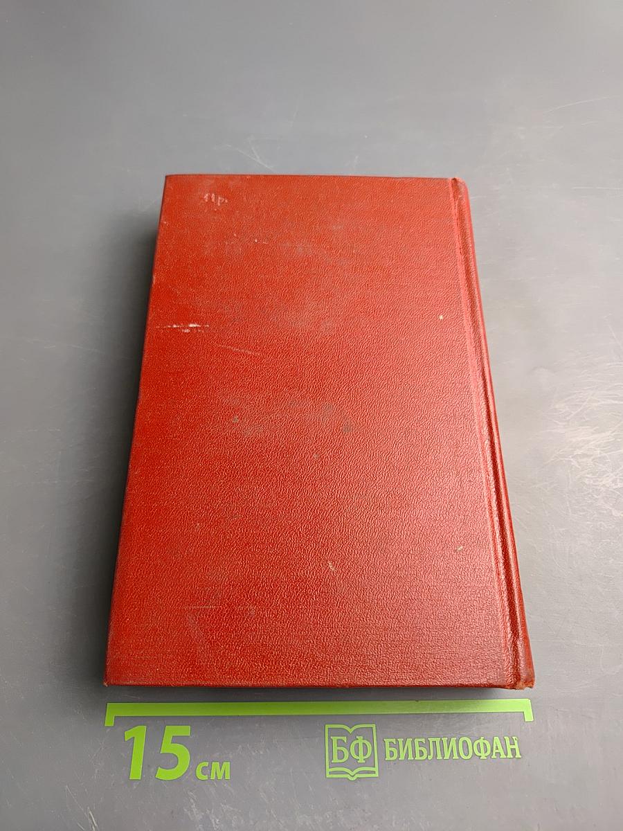 Перед рассветом