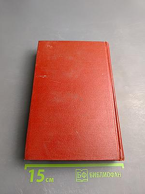 Перед рассветом