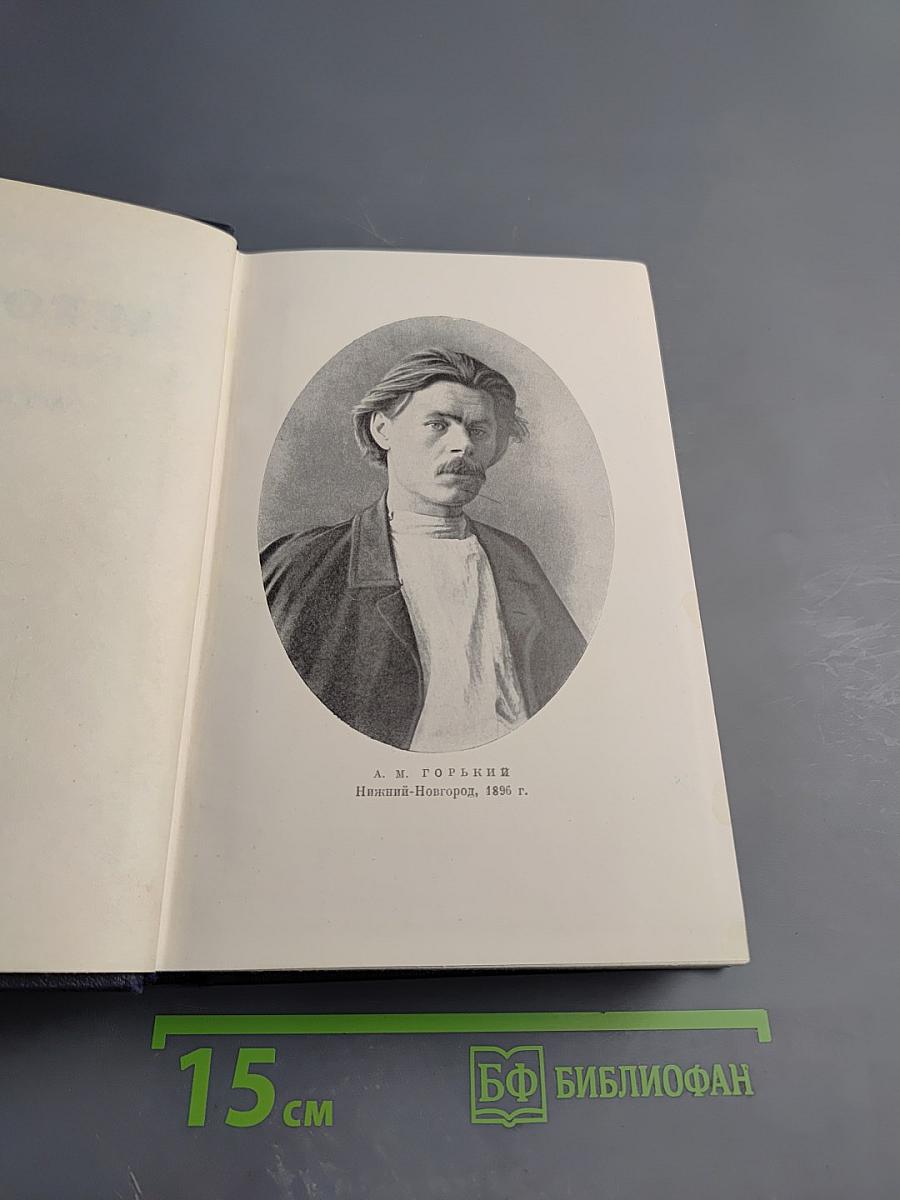 Собрание сочинений в десяти томах. Том 2. Рассказы, стихи. 1895-1896