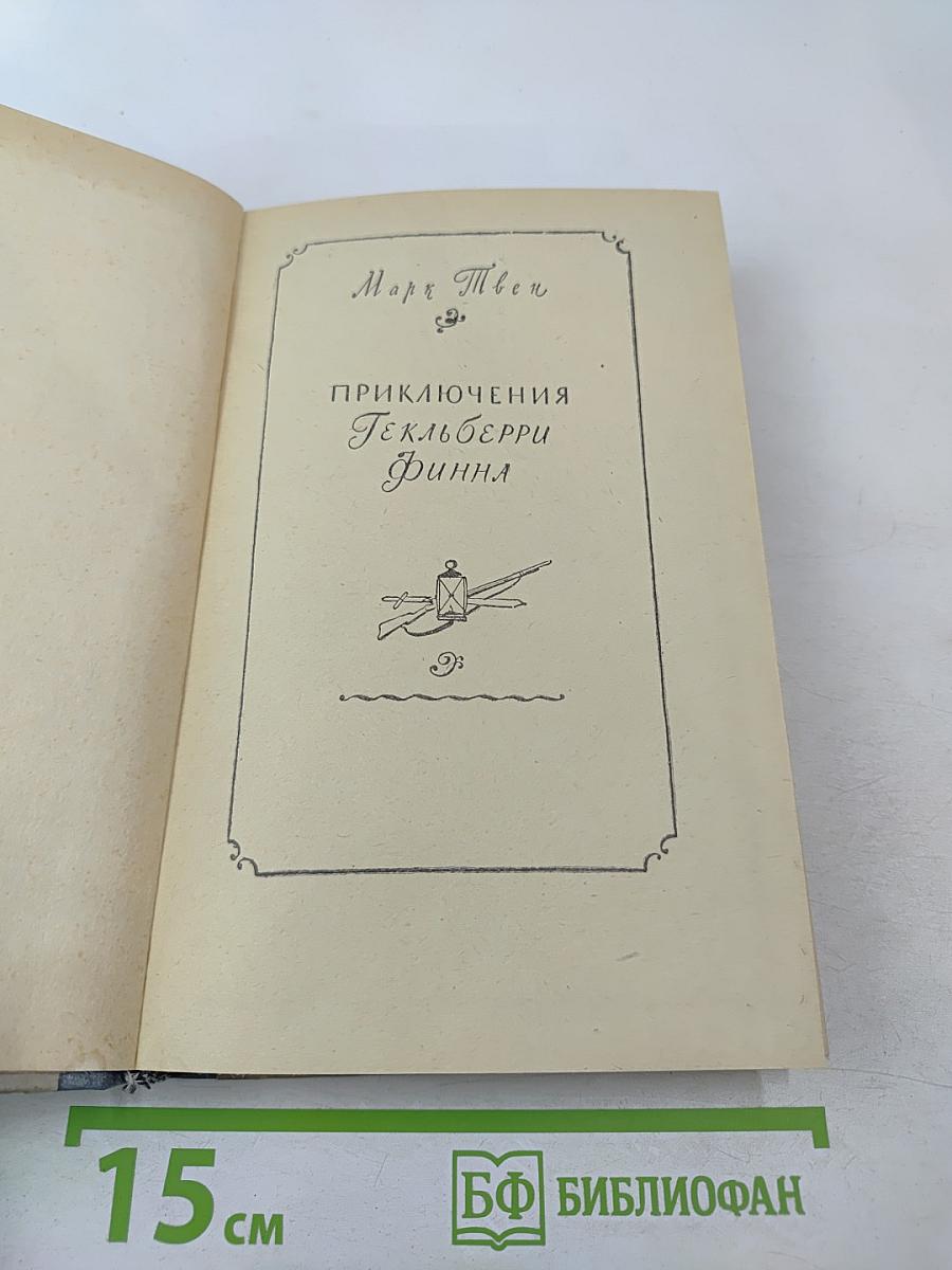 Приключения Гекльберри Финна