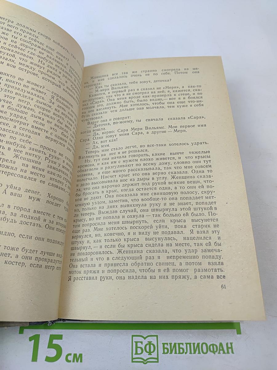 Приключения Гекльберри Финна