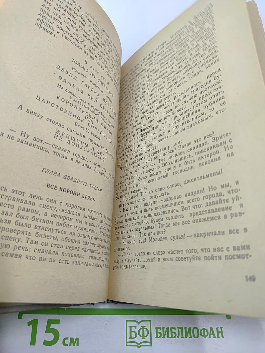 Приключения Гекльберри Финна