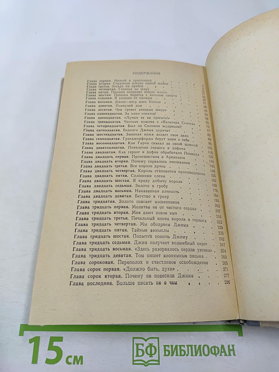 Приключения Гекльберри Финна