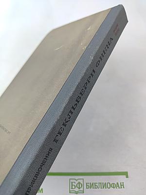 Приключения Гекльберри Финна