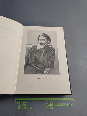 Собрание сочинений. Том 5. Повести, рассказы, очерки, стихи. 1900-1906