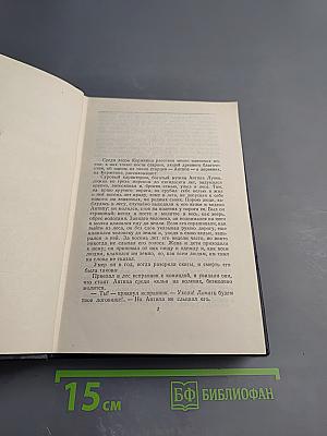Собрание сочинений. Том 5. Повести, рассказы, очерки, стихи. 1900-1906