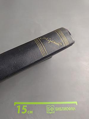 Собрание сочинений. Том 5. Повести, рассказы, очерки, стихи. 1900-1906