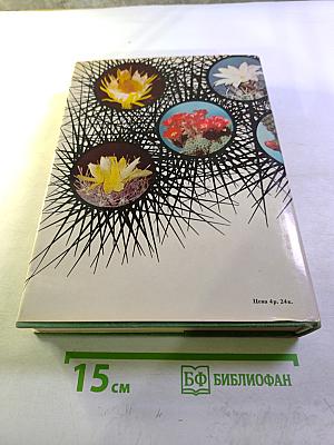 Колючее чудо