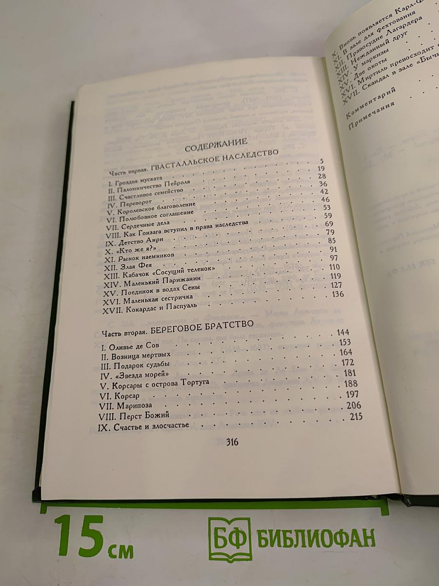 Юность Лагардера