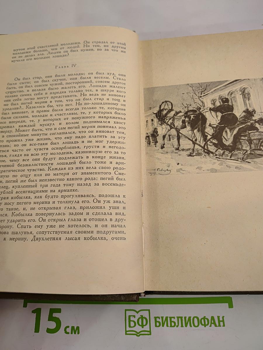 Собрание сочинений. Том двенадцатый. Повести и рассказы 1885-1902 гг.