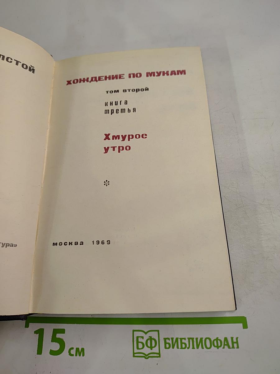 Хождение по мукам. Том второй. Книга третья. Хмурое утро