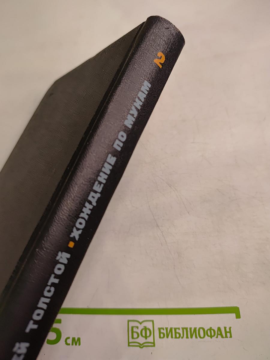 Хождение по мукам. Том второй. Книга третья. Хмурое утро