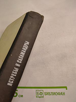 Ястребы и саламандры (Об ультраправой опасности в США)