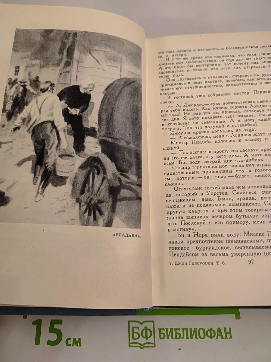 Собрание сочинений в шестнадцати томах. Том 6. Усадьба