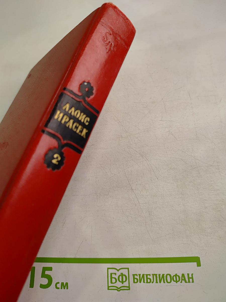 Избранные сочинения: Том второй. Философская история. Небылицы