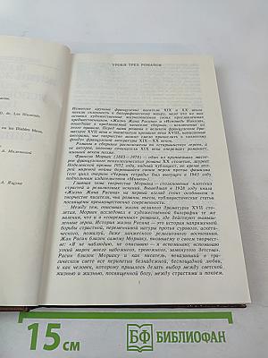 Писатели о писателях. Жизнь Жана Расина. Исповедь Никола. Стелло, или Синие демоны