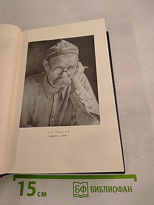 Собрание сочинений. Том 25: Статьи, речи, приветствия (1929-1933)