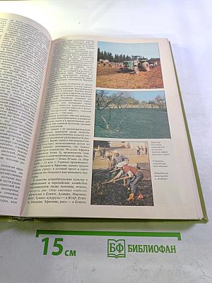 Страны и народы. Африка. Общий обзор. Северная Африка