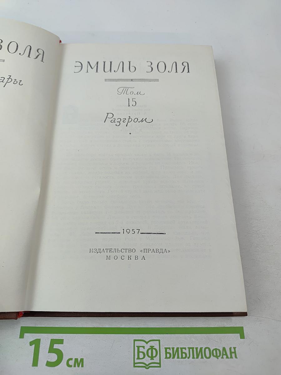 Разгром. Том 15