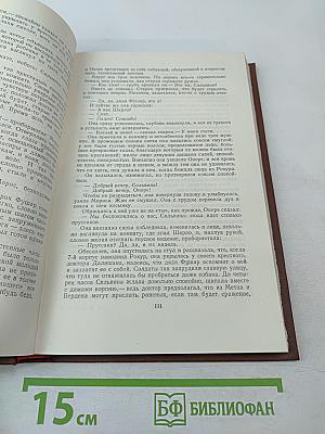 Разгром. Том 15