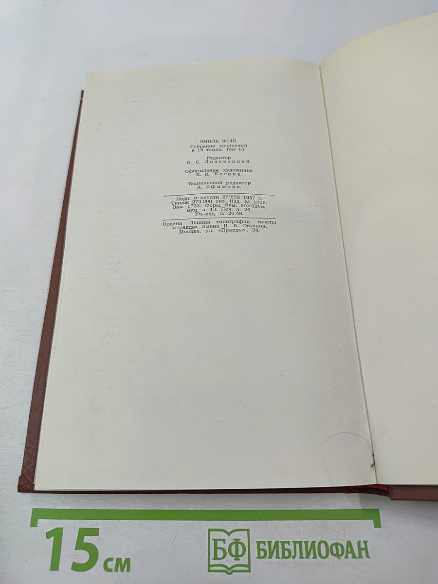 Разгром. Том 15