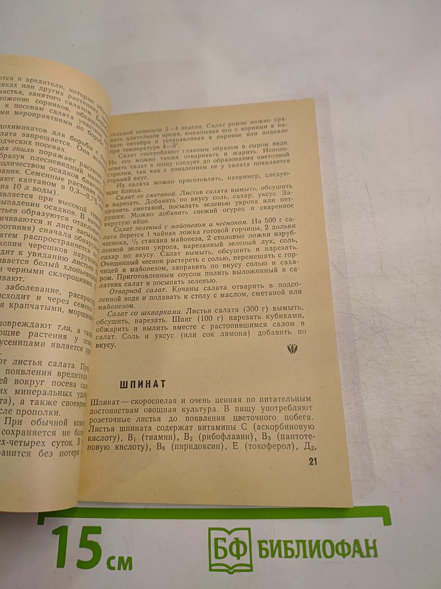 Зеленые овощные культуры