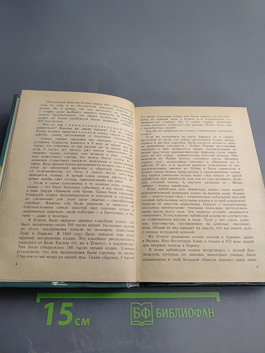 Советы любителям кошек