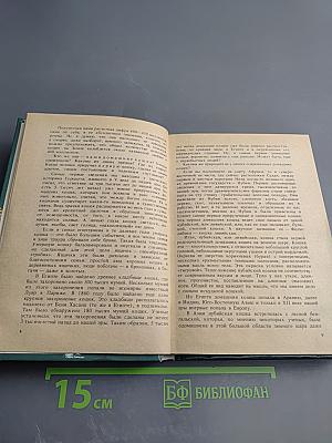 Советы любителям кошек